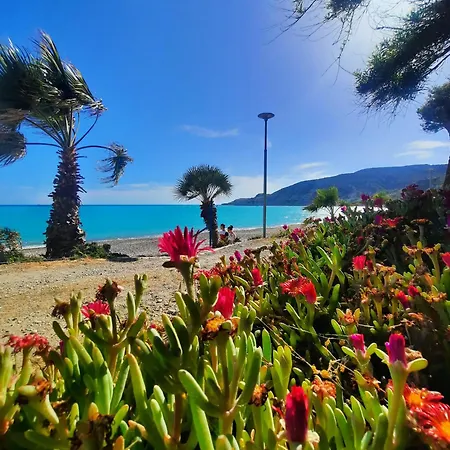 Gorgeous Seaview House